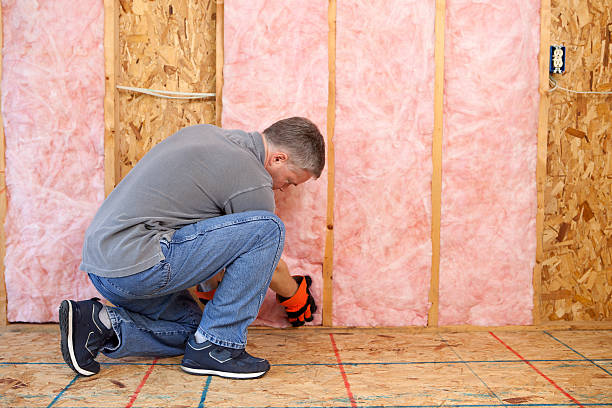 Best Insulation for New Construction  in Tlassee, AL