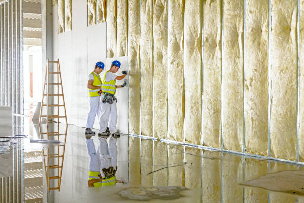 Best Radiant Barrier Insulation  in Tlassee, AL